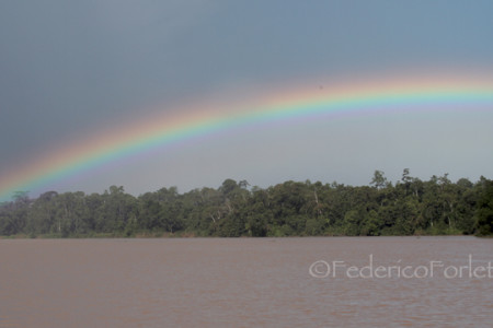 10_Rainbow over Kinabatangan copy