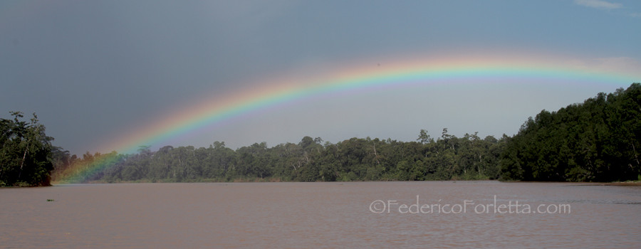 10_Rainbow over Kinabatangan copy